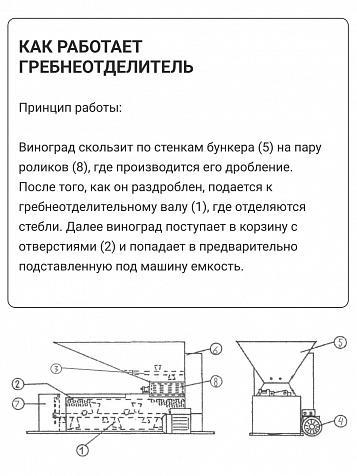 Электрический измельчитель-гребнеотделитель Rondinella бункер из нерж. стали